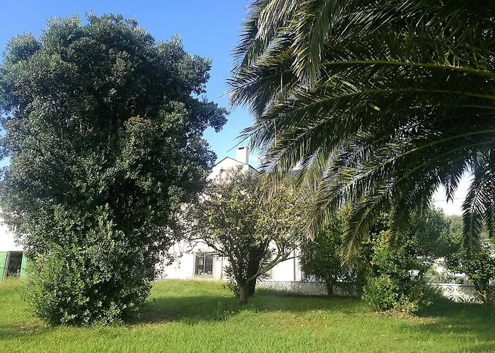 Atico Luminoso Y Juvenil Lägenhet Santa Marta de Ortigueira